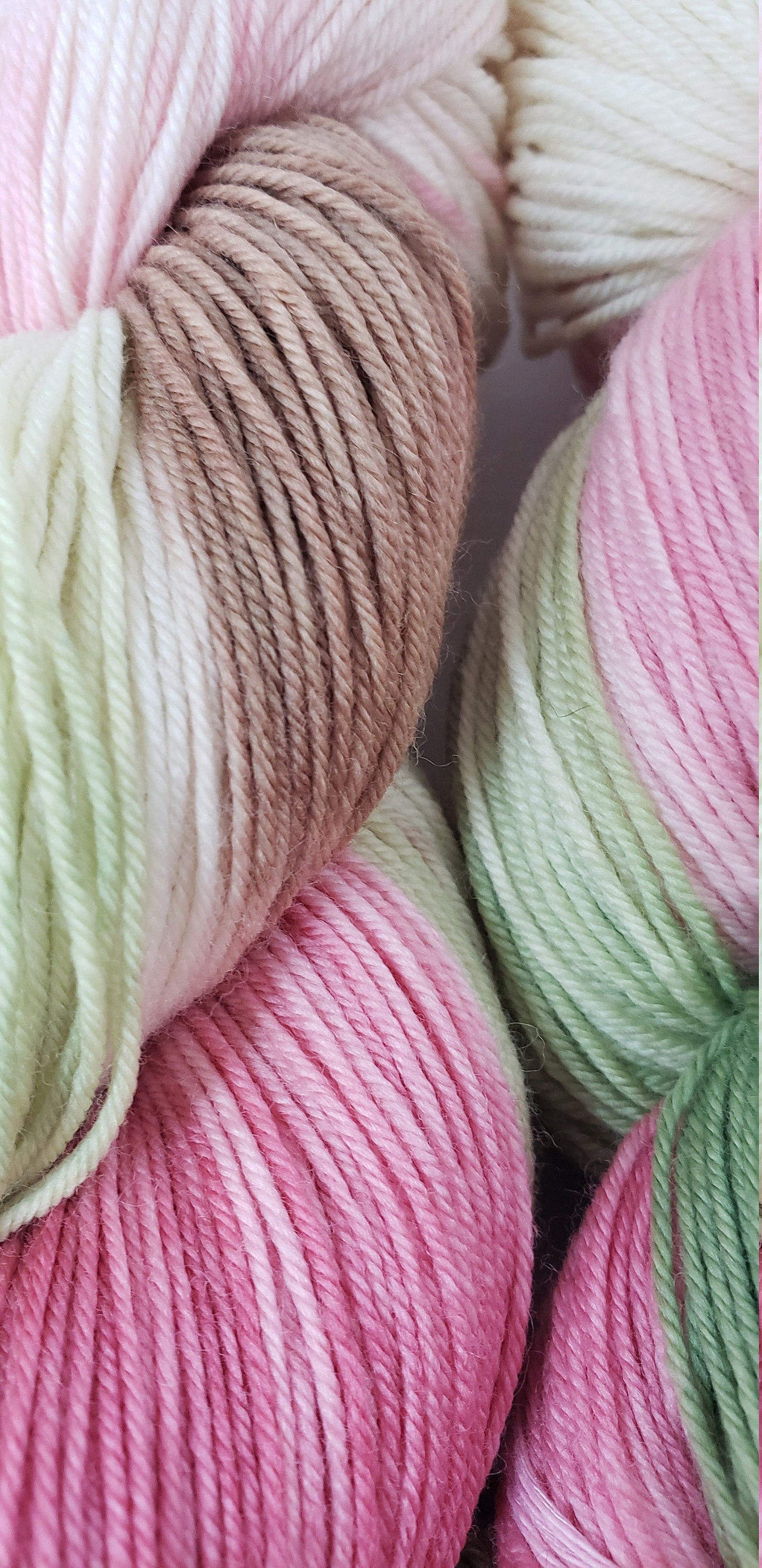 Rose Garden in Superwash Merino/Nylon (85/15) Blend Fingering Weight Yarn