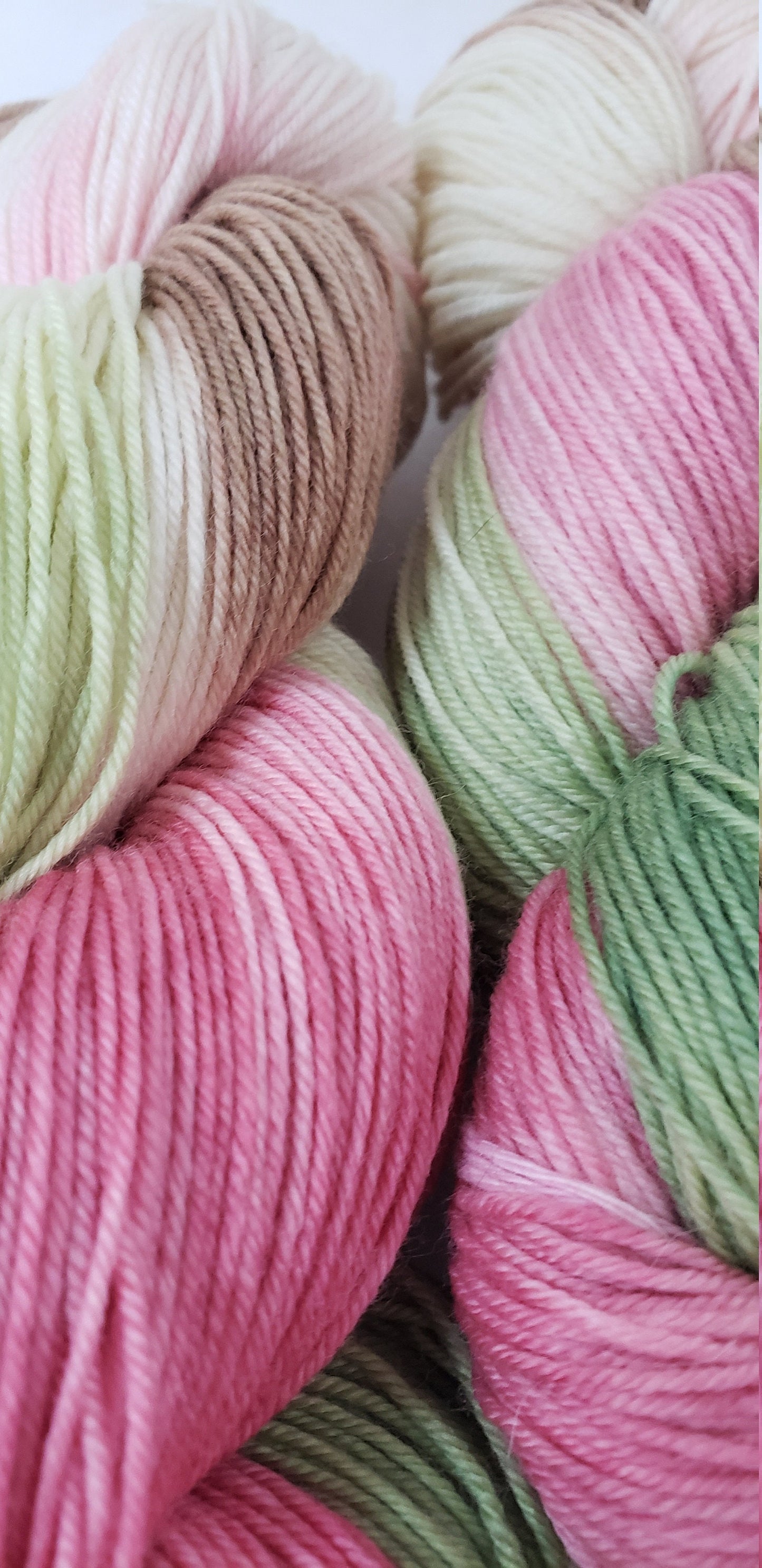 Rose Garden in Superwash Merino/Nylon (85/15) Blend Fingering Weight Yarn