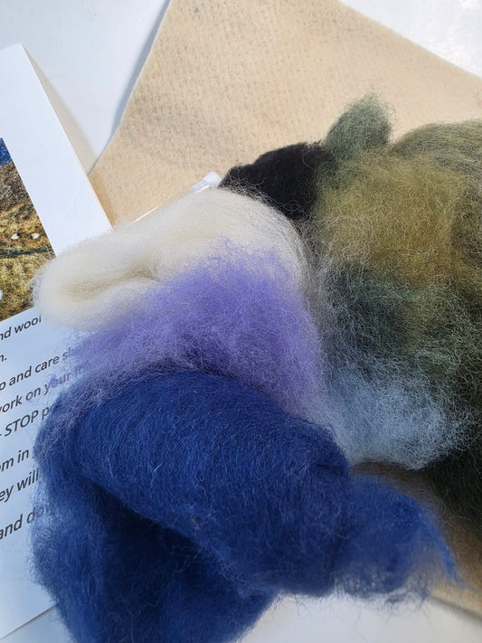 Watchful Eye Painting Needle Felting Kit