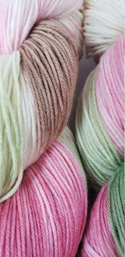 Rose Garden in Superwash Merino/Nylon (85/15) Blend Fingering Weight Yarn