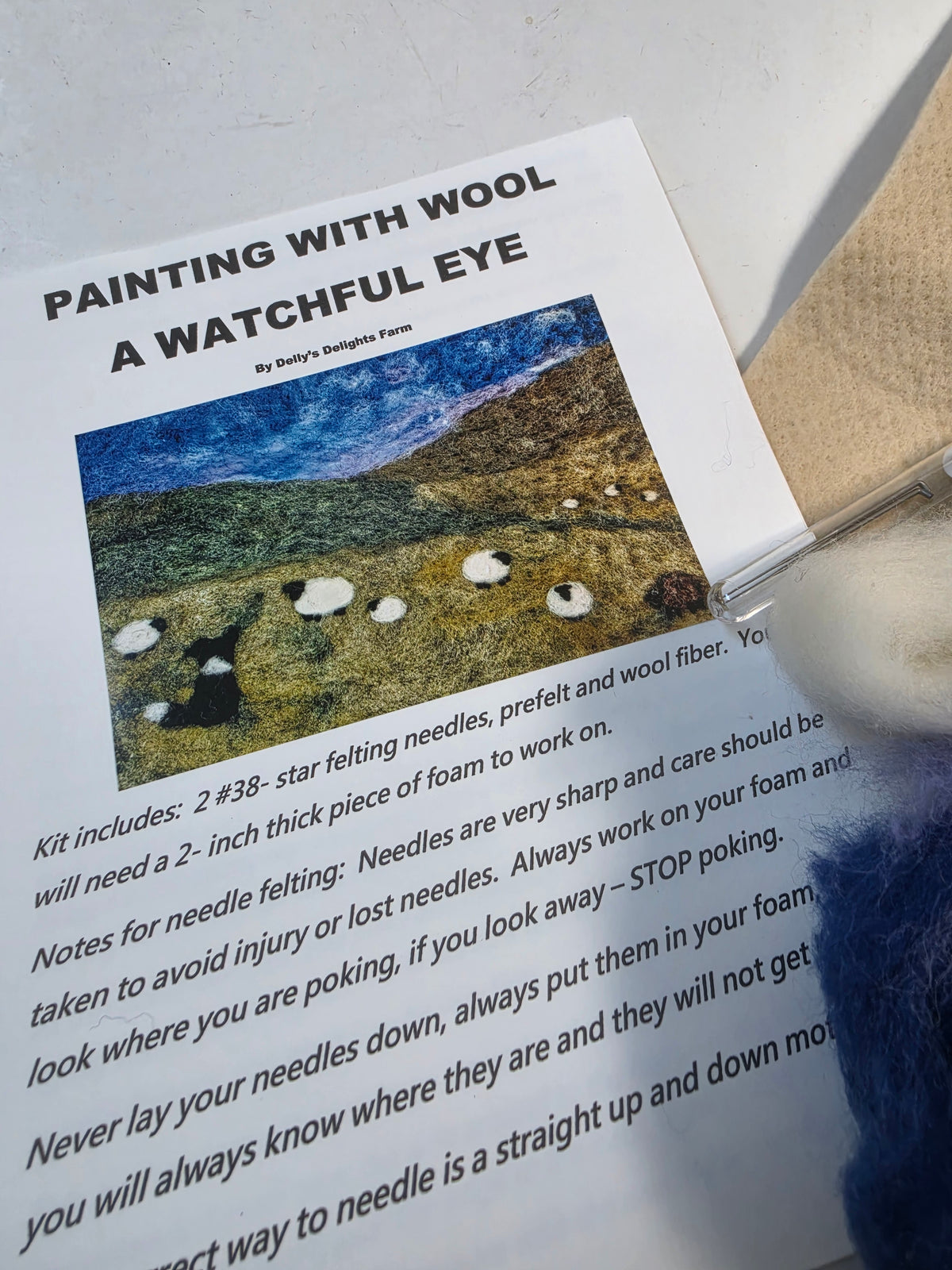 Watchful Eye Painting Needle Felting Kit